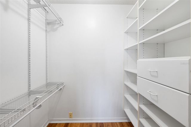 631 GILLETTE AVENUE, Temple Terrace, FL 33617