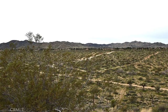 8425 Indio Avenue, Yucca Valley, CA 92284