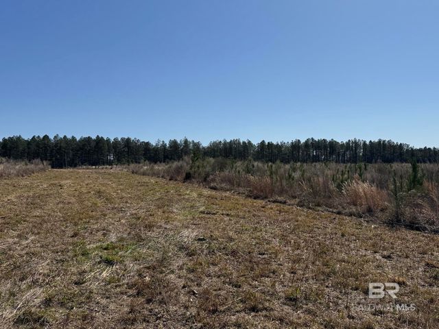 3 County Road 64, Robertsdale, AL 36567