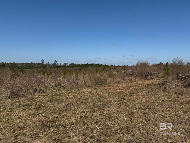 3 County Road 64, Robertsdale, AL 36567