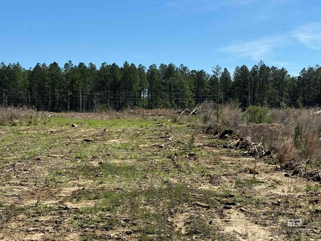 3 County Road 64, Robertsdale, AL 36567