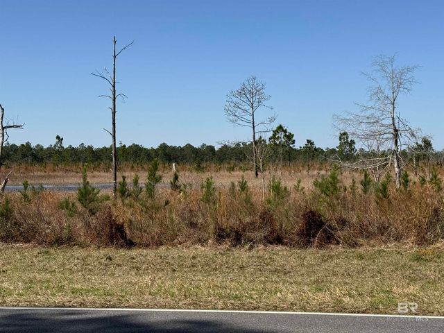 3 County Road 64, Robertsdale, AL 36567
