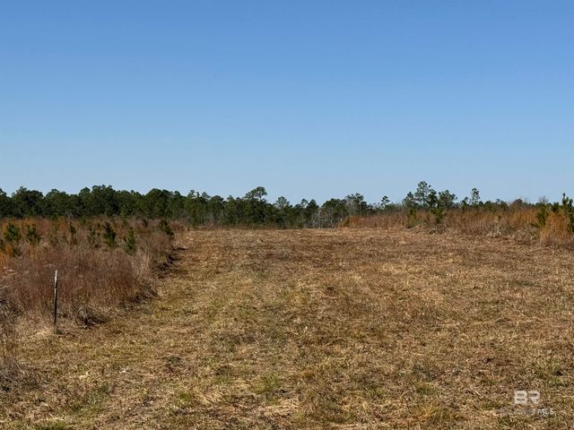3 County Road 64, Robertsdale, AL 36567