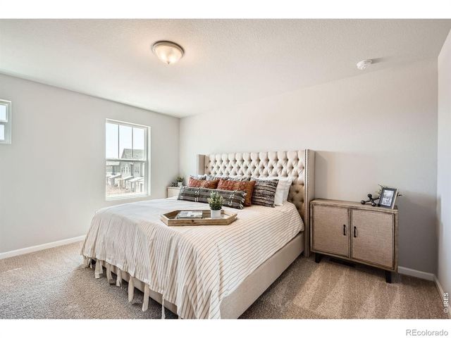 2575 Violet Cress Lane, Fort Collins, CO 80524