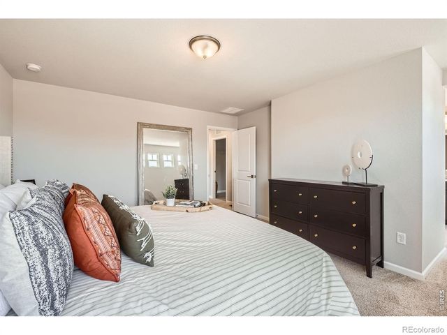 2575 Violet Cress Lane, Fort Collins, CO 80524