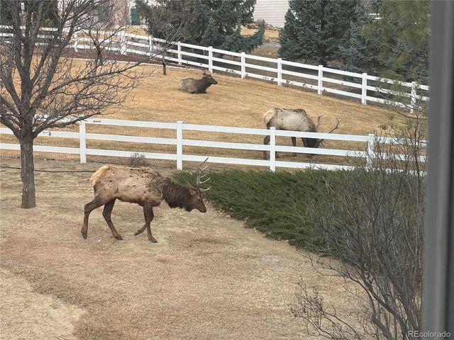 3363 Crest Drive, Loveland, CO 80537