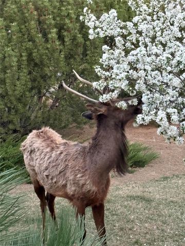 3363 Crest Drive, Loveland, CO 80537