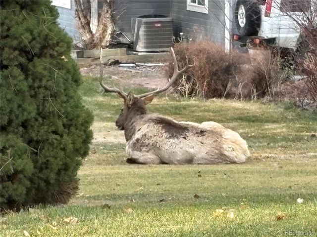 3363 Crest Drive, Loveland, CO 80537