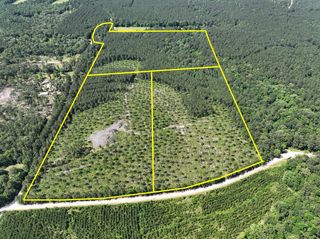 37 Groveton Flat Prairie Rd, Groveton, TX 75854