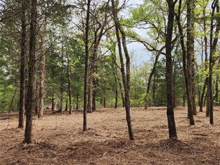 Lot 465 CR-4710, Larue, TX 75770
