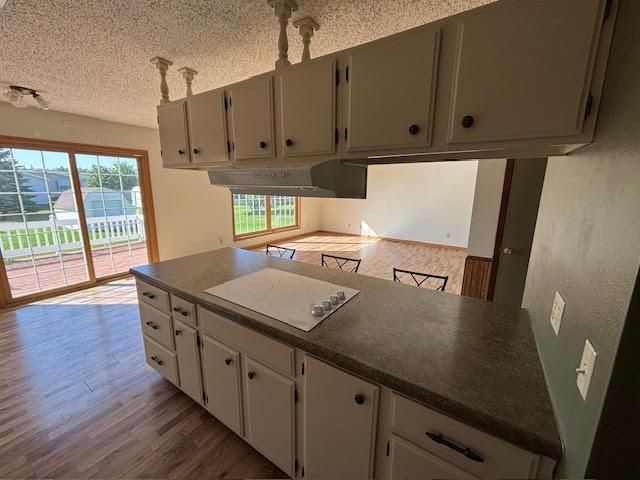 1114 Greenwood Street E, Thief River Falls, MN 56701