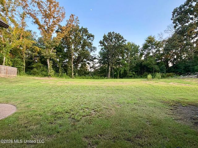 46 Fairview Trail, Byhalia, MS 38611
