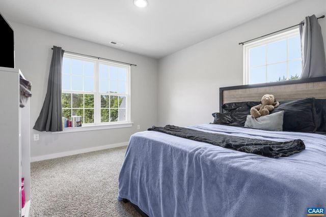 1202 MATTHEW MILL RD, Ruckersville, VA 22968