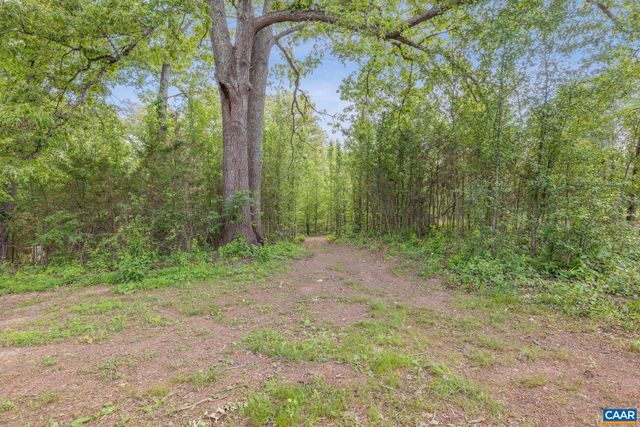 1202 MATTHEW MILL RD, Ruckersville, VA 22968