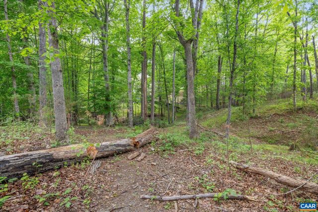 1202 MATTHEW MILL RD, Ruckersville, VA 22968