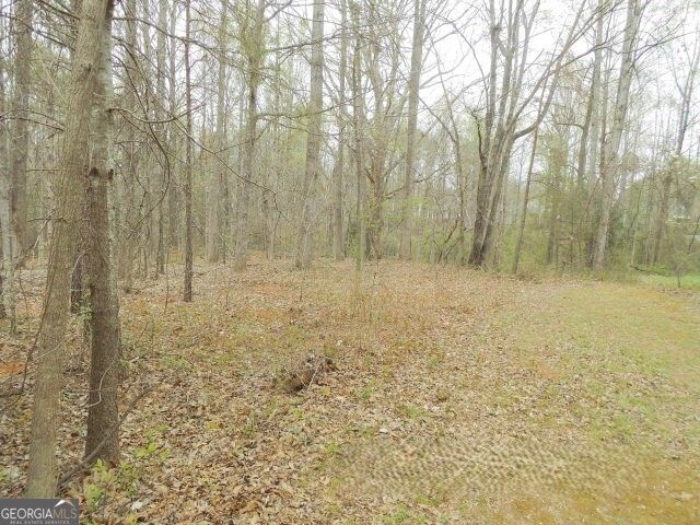 172 Mutts Drive, Mount Airy, GA 30563