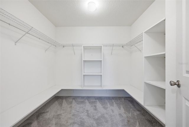 1096 PAPAYA CIRCLE, Davenport, FL 33897