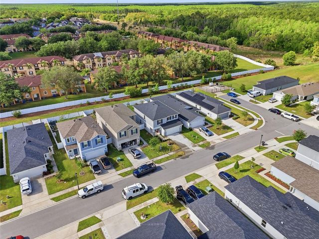 1096 PAPAYA CIRCLE, Davenport, FL 33897