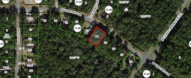 856 W Virginis Drive, Citrus Springs, FL 34434