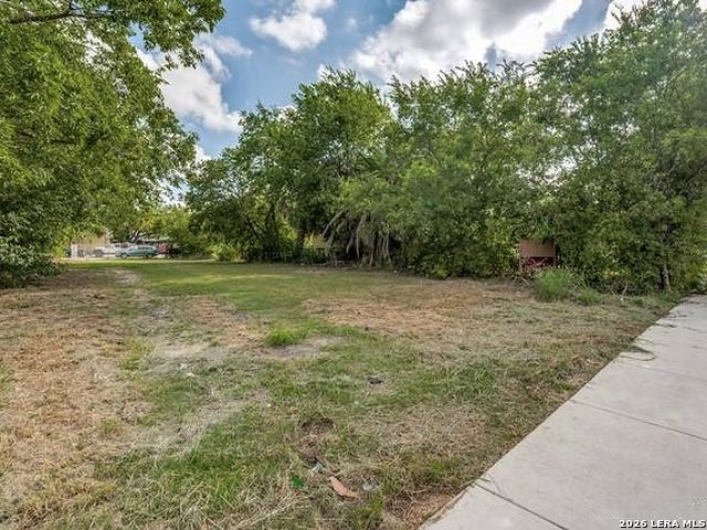 313 E Locust, San Antonio, TX 78212