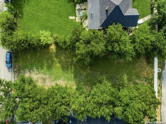 313 E Locust, San Antonio, TX 78212