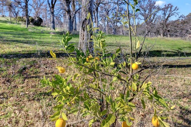 6718 Cross Star Trl, Marysville, CA 95901