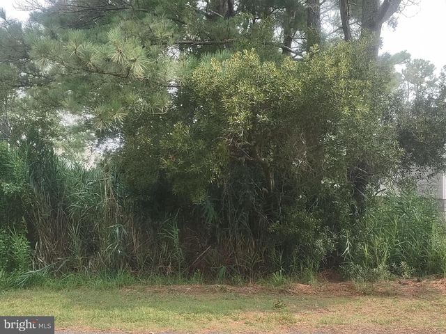 SALISBURY RD, Ocean City, MD 21842