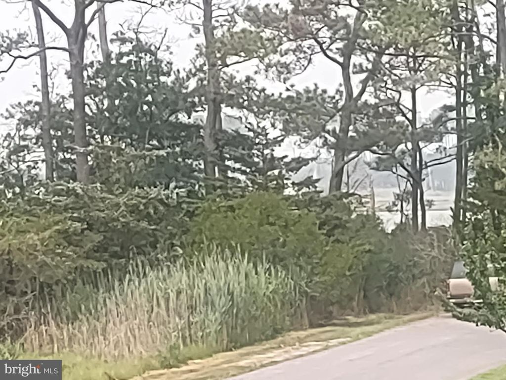 SALISBURY RD, Ocean City, MD 21842