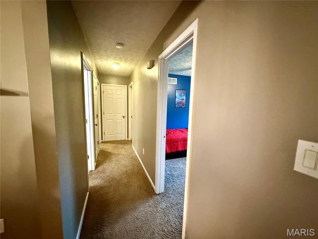 29 Saint Ann Avenue, St James, MO 65559