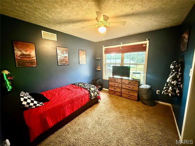 29 Saint Ann Avenue, St James, MO 65559