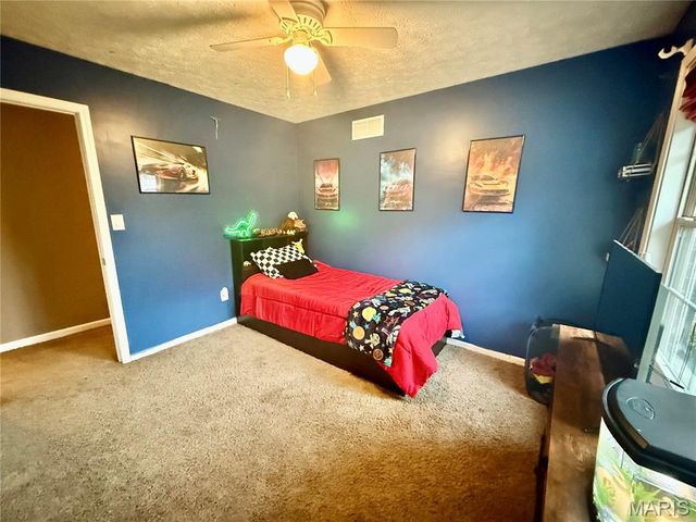 29 Saint Ann Avenue, St James, MO 65559