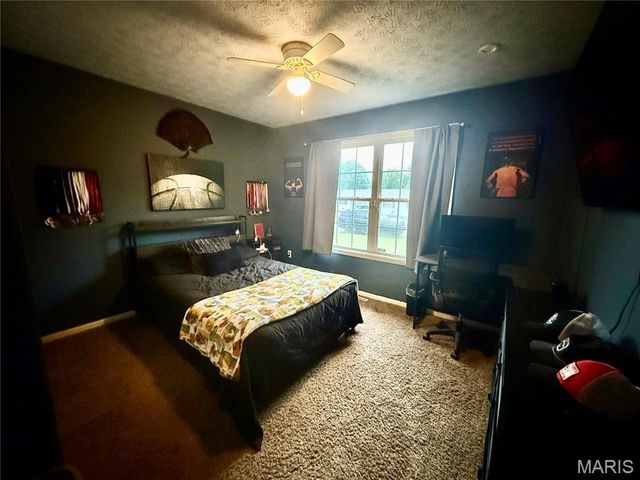 29 Saint Ann Avenue, St James, MO 65559