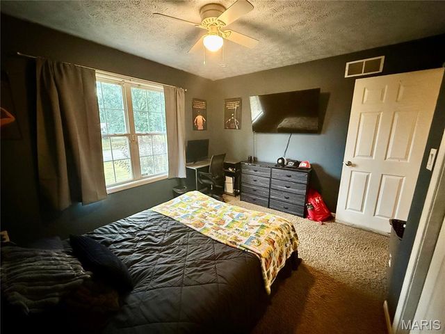 29 Saint Ann Avenue, St James, MO 65559