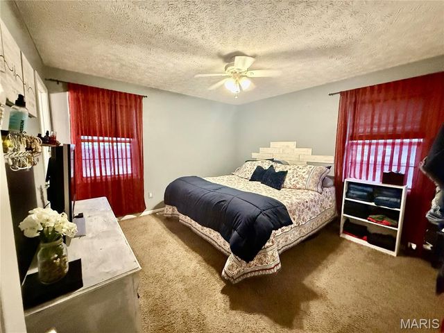 29 Saint Ann Avenue, St James, MO 65559