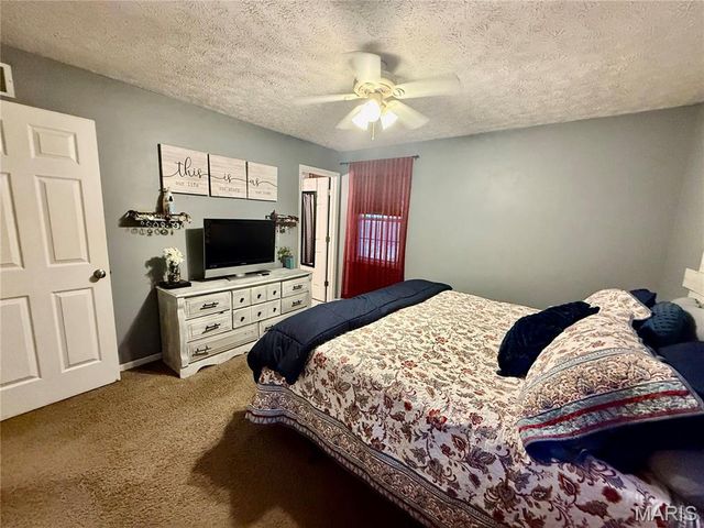 29 Saint Ann Avenue, St James, MO 65559