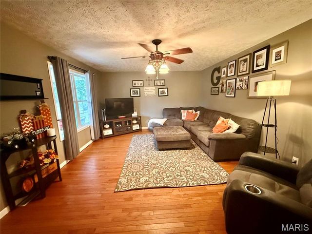 29 Saint Ann Avenue, St James, MO 65559