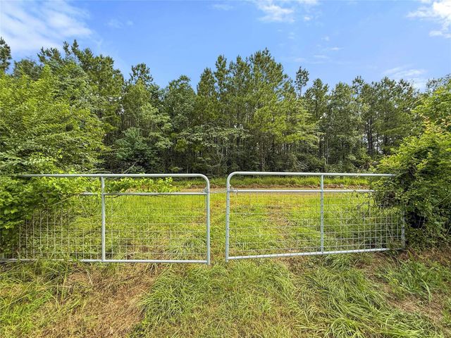 TBD County Road 3610, Woodville, TX 75979