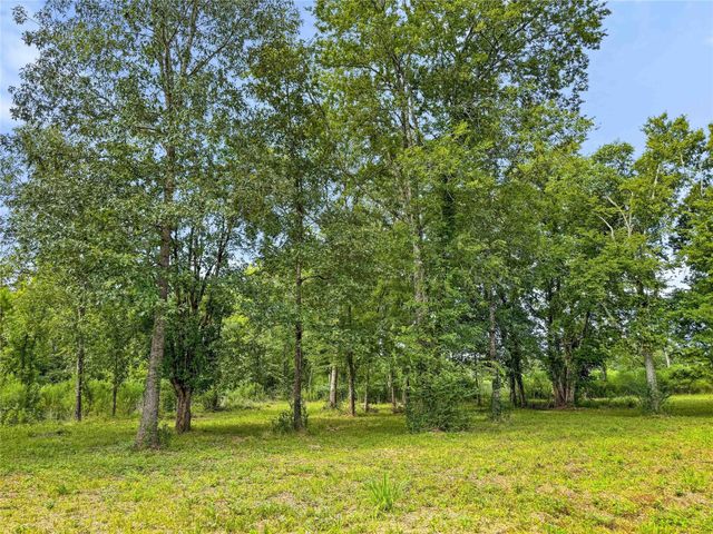 TBD County Road 3610, Woodville, TX 75979