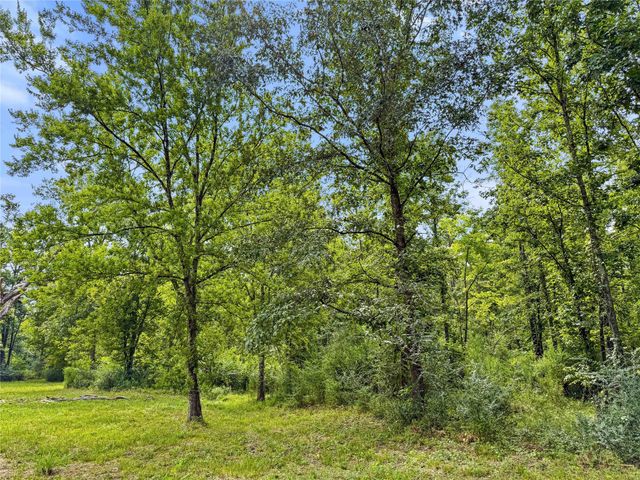 TBD County Road 3610, Woodville, TX 75979