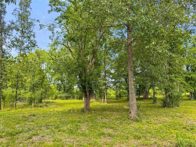 TBD County Road 3610, Woodville, TX 75979