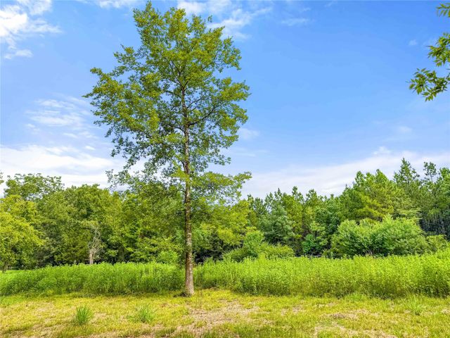 TBD County Road 3610, Woodville, TX 75979