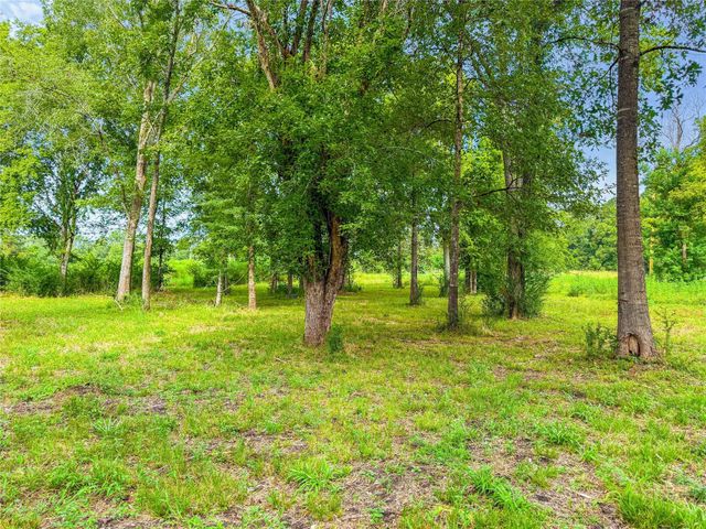 TBD County Road 3610, Woodville, TX 75979