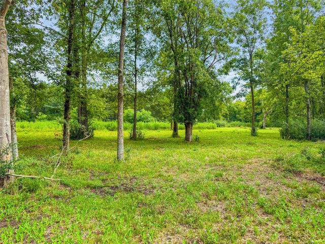 TBD County Road 3610, Woodville, TX 75979