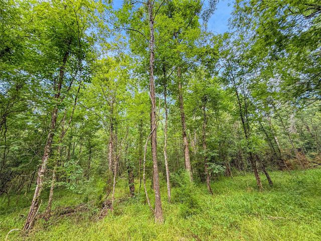 TBD County Road 3610, Woodville, TX 75979