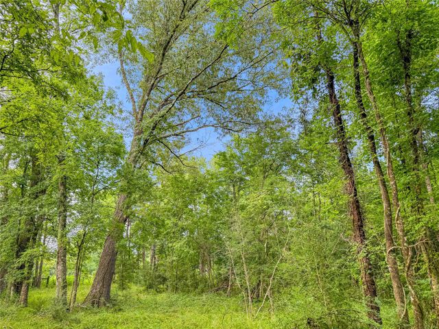 TBD County Road 3610, Woodville, TX 75979