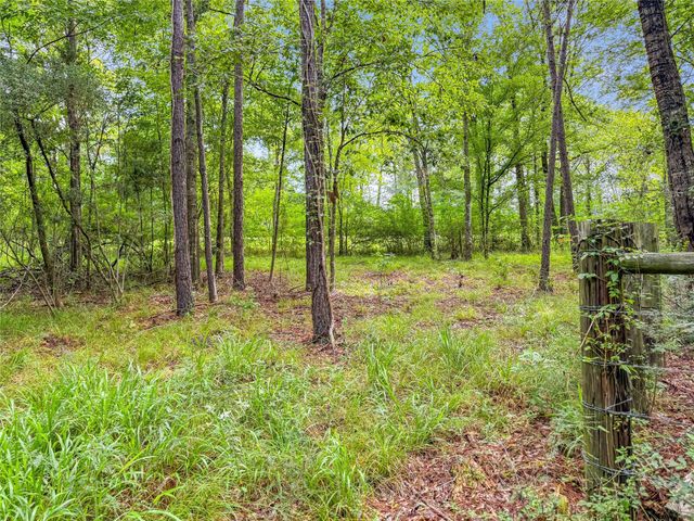 TBD County Road 3610, Woodville, TX 75979