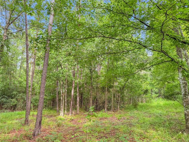 TBD County Road 3610, Woodville, TX 75979