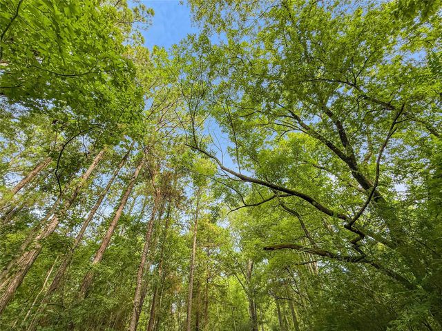 TBD County Road 3610, Woodville, TX 75979