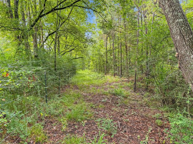 TBD County Road 3610, Woodville, TX 75979