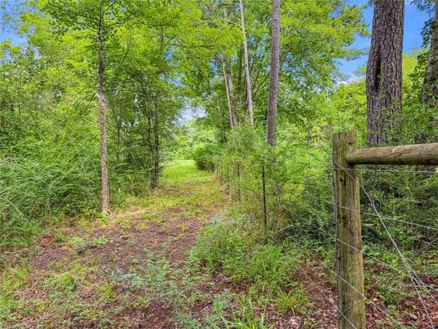 TBD County Road 3610, Woodville, TX 75979